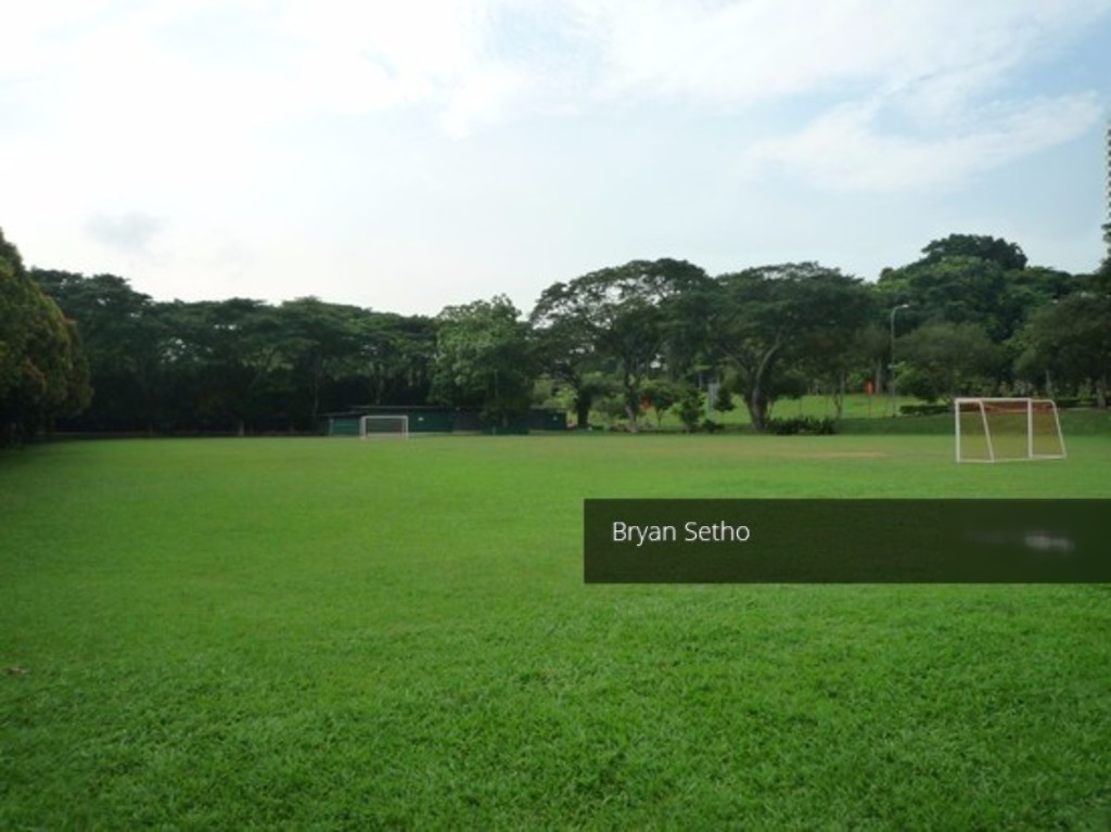 Windsor Park (D20), Terrace #131305782